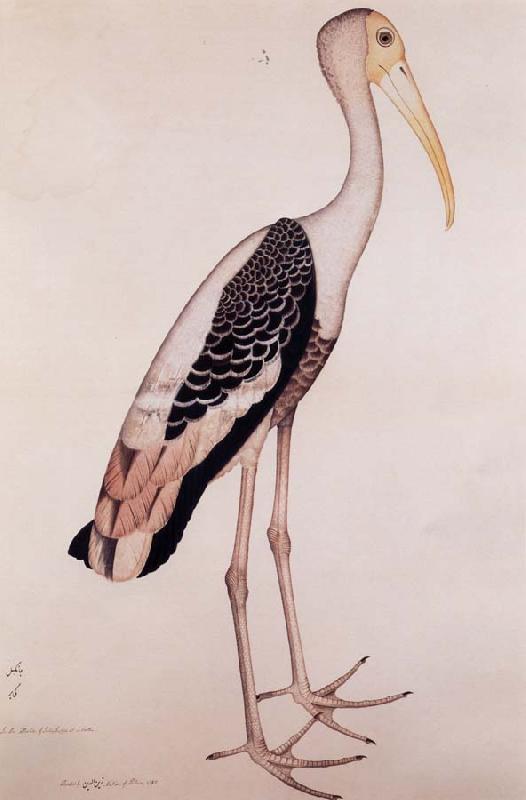 Zayn AL Din A Painted Stork oil painting picture